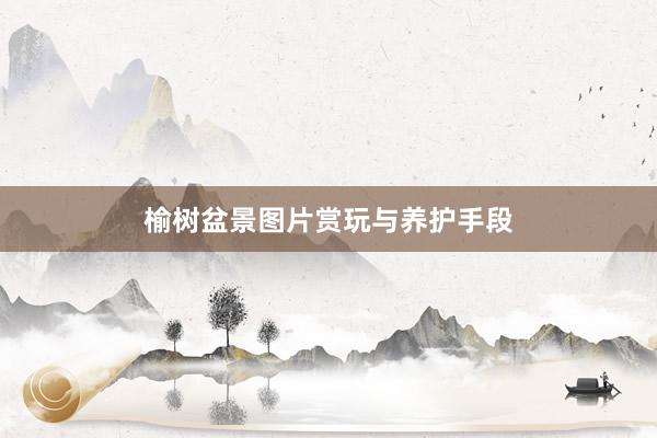 榆树盆景图片赏玩与养护手段