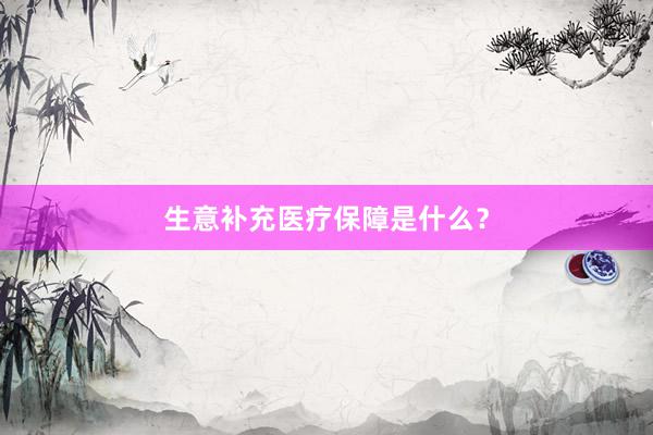 生意补充医疗保障是什么？