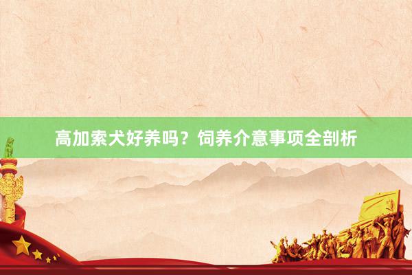 高加索犬好养吗？饲养介意事项全剖析