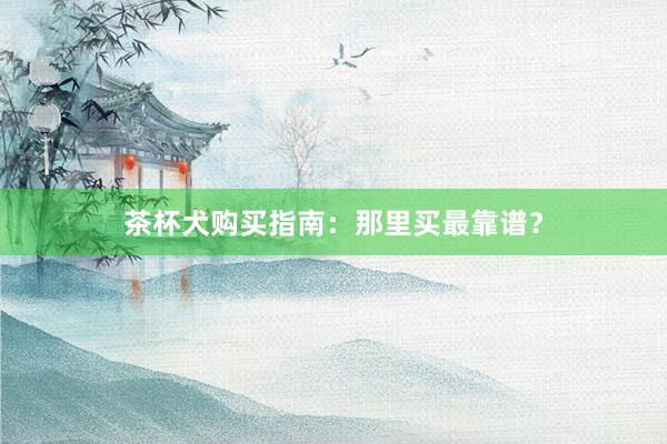 茶杯犬购买指南:那里买最靠谱?