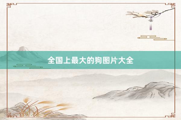 全国上最大的狗图片大全